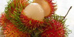 Whats-the-Difference-Between-Rambutan-and-Lychee-by-Green-Blender1